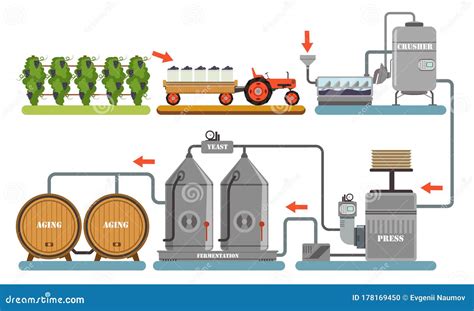 Wine Production Process, Alcoholic Beverages Making Equipment, Grapes ...