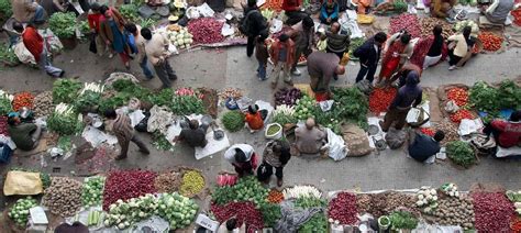 Farmers get weather insurance for tomato, potato, ginger and pea crops ...
