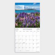 Buy DaySpring, 2023 Bible Verses Wall Calendar: Featuring Scripture ...