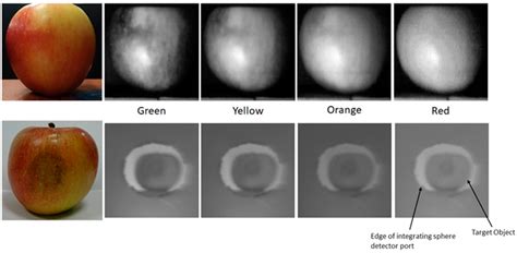 Low-Cost Hyperspectral Imaging with A Smartphone