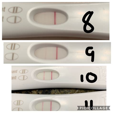 Chemical Pregnancy Vs Period Signs Of A Chemical Pregnancy | TikTok