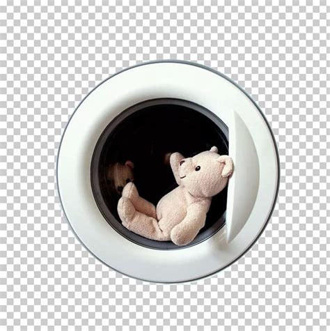 Image result for Bear Washing Machine