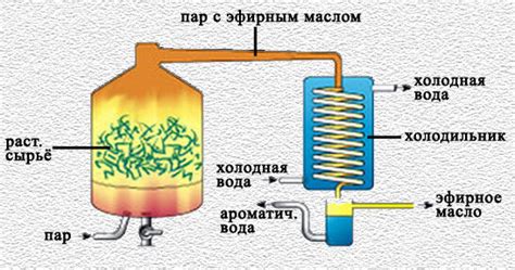 Способы получения эфирных масел: дистилляция | Поэзия Ароматов