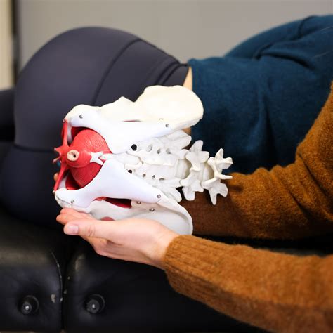 Herman & Wallace Pelvic Rehabilitation Continuing Education - Dry ...