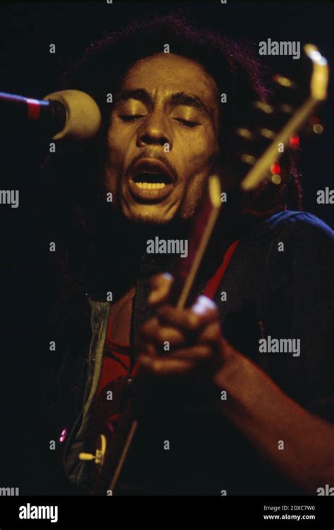 Image result for Reggae Music