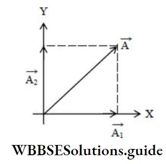 Image result for NEET Vector Problems