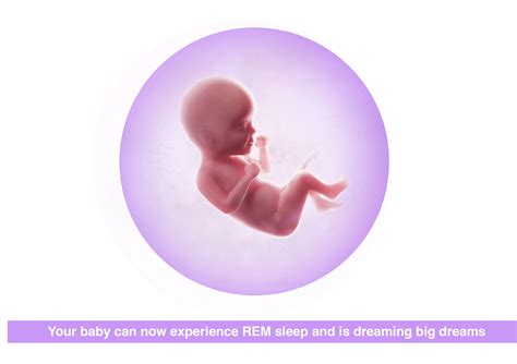 28 Weeks Pregnant – Your Baby, Body & Symptoms: Premom