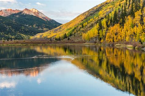 Image result for Alien with Staff Home