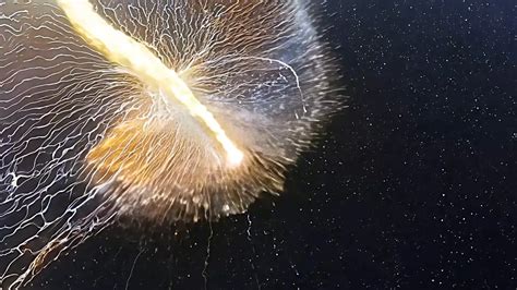 Radiant Burst Of Energy Overlay For Title Animation | Videos