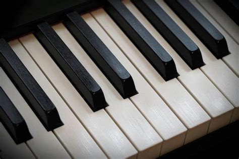 Image result for Piano Roblox Corpse Bride