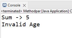 Classes with Parameters Java 的图像结果