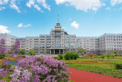 哈尔滨华德学院2020年招生计划 —黑龙江站—中国教育在线