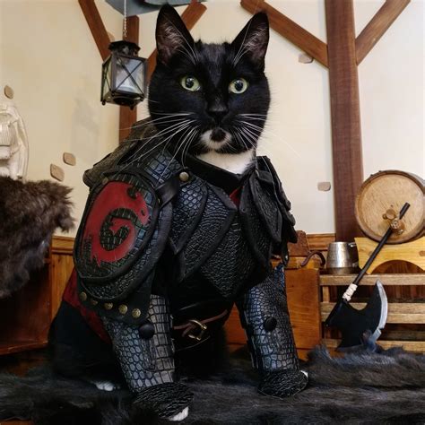 36 Cool Funny Cat Pictures: Cat Cosplay Knight Armor