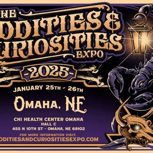 Oddities & Curiosities Sunday1:30PM Entomology Class - Spider, CHI ...