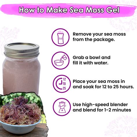 Buy Purple Irish Sea Moss - Dr Sebi Inspired | Organic Raw Sea Moss ...