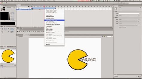Image result for Tutorial Flash Player Physique