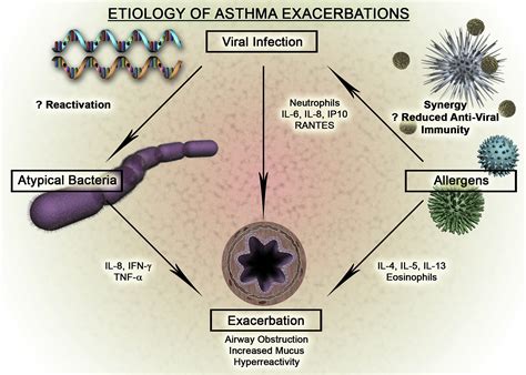 Etiology of asthma exacerbations - Journal of Allergy and Clinical ...