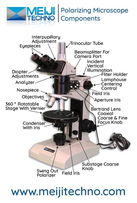 Microscope Terminology 的图像结果