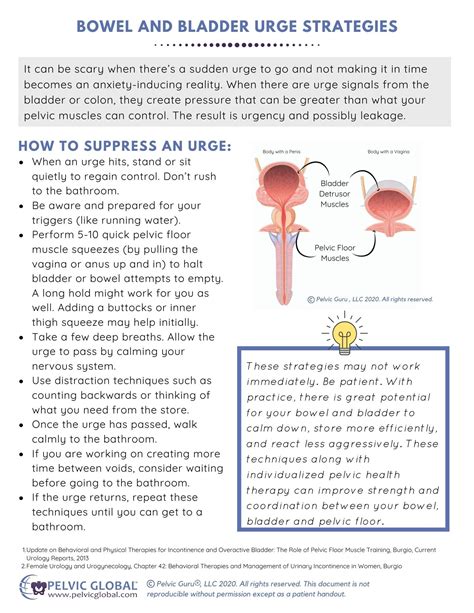 Bladder Training Guidelines at Sean Freeleagus blog