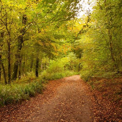 CRANMORE TOWER Guide (2026) All You Need to Know BEFORE You Go (with ...