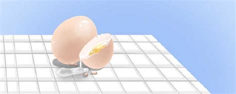 春分立蛋是什么意思?听说春分立鸡蛋成功率高-优出圈