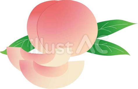 Image result for Android Creating Software
