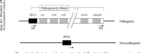 Image result for Pathogenicity Islands