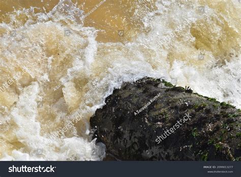 7 71 Earth Covered Water Images, Stock Photos & Vectors | Shutterstock