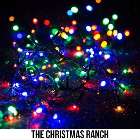 The Christmas Ranch - Visit Ohio Today
