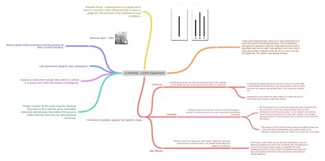 Conformity Experiment 的图像结果