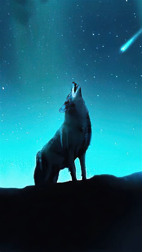 Lobo aullando en las estrellas Fondo de pantalla 4k HD ID:7852