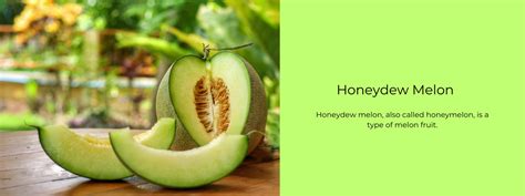 Honeydew melon – Health Benefits, Uses and Important Facts ...