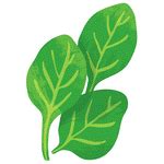 100 Vegetables Name in English with Pictures