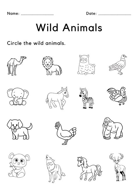 circle the wild animals worksheet black and white | Made By Teachers