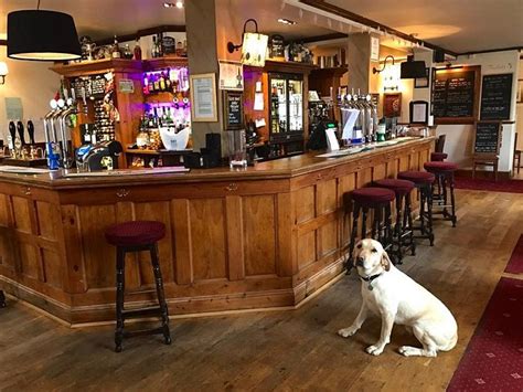 WHEATSHEAF INN (Cuckfield) - Inn Reviews, Photos, Rate Comparison ...