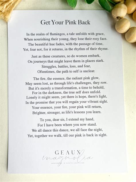 Flamingo Get Your Pink Back Sisterhood, Friendship, & Comeback Ornamen ...