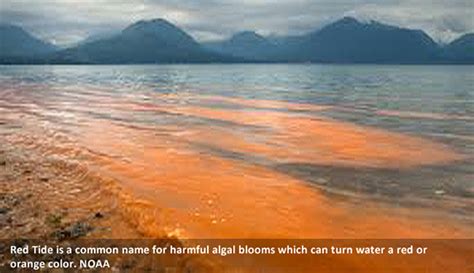 Beach Hazards and Safety