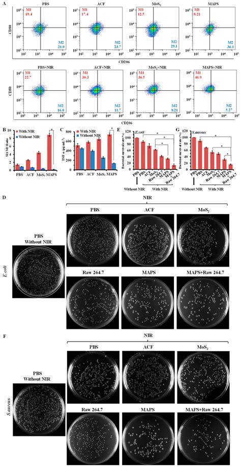 Construction of Antibacterial MoS2-ACF Phenotype Switcher for ...