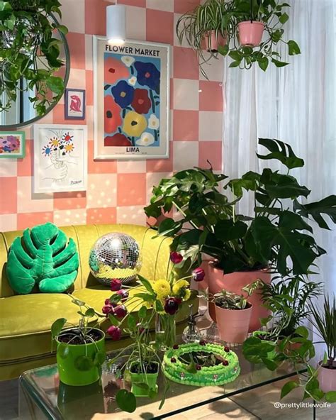 Choosing Pots for Indoor Plants - Soltech