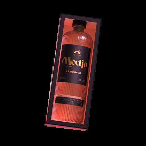 Image result for Modjo Location Map