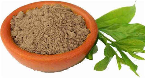 botanic garden Anantmool Powder 250gms /Hemidesmus indicus/white sariva ...