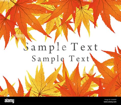 Twisted row of autumn maples leaves. Vector illustration Stock Vector ...