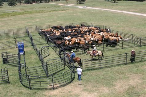 Corral Cattle Pens Plans