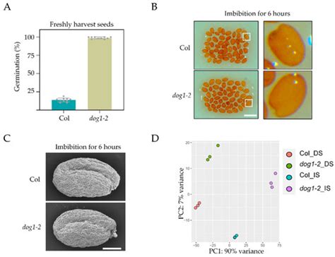 DELAY OF GERMINATION 1, the Master Regulator of Seed Dormancy ...