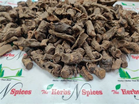 Herbal Roots - Asparagus Racemosus Roots Manufacturer from Neemuch