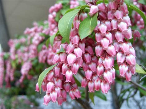 Image result for Calculating Algorithm