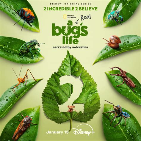A New Season of 'A Real Bug's Life' Is Coming to Disney+ Next Month ...