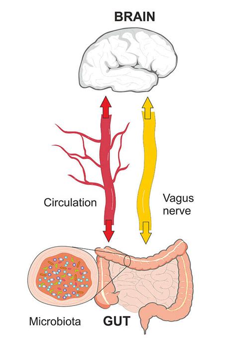 Stress Increases Gut Distress, Know How To Manage It Better | Femina.in