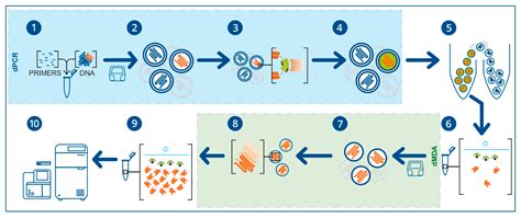 CRISPR-Powered Microfluidics in Diagnostics: A Review of Main Applications
