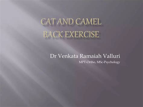 Cat and camel exercises | PPT